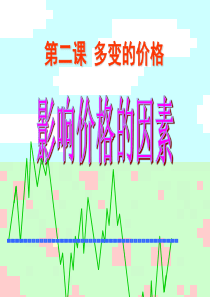 影响价格的因素PPT