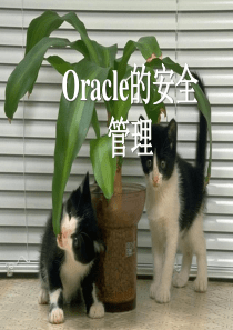 《Oracle9i关系数据库实用教程》电子教案第六章 Oracle的安全管理_