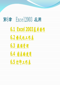 《办公自动化教程》Excel2003应用