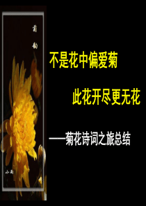 菊花诗词总结