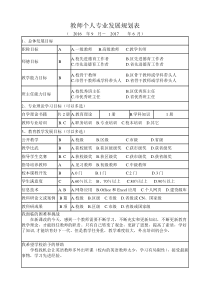 教师个人专业发展规划表