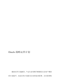 《Oracle战略运营计划》（DOC 55页）