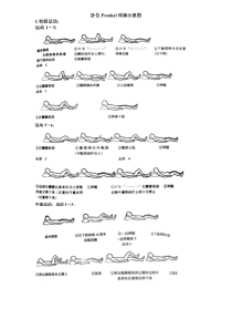 Frenkel体操