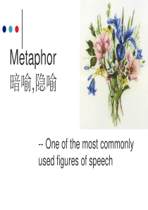 Metaphor(含练习)