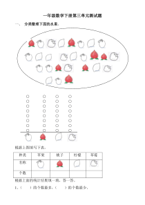 一年级下册分类与整理测试卷