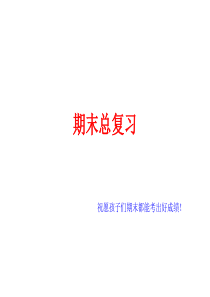 七年级下册数学期末总复习课件