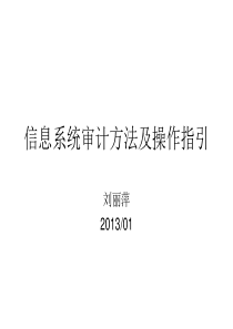 信息系统审计方法与操作指引