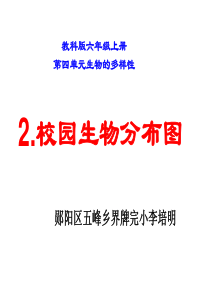 六年级科学上册----4.2《校园生物分布图》ppt