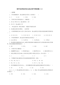 初中化学化学式与化合价专项训练(1)