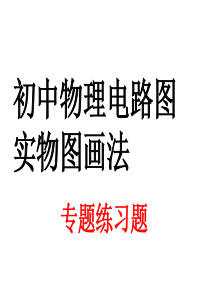 初中物理电路图实物图画法专题练习题(含答案)