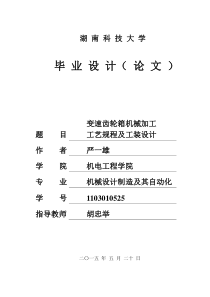 说明书变速齿轮箱机械加工工艺规程及工装设计