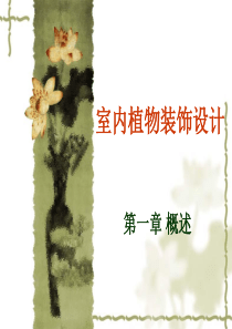 室内植物装饰设计一