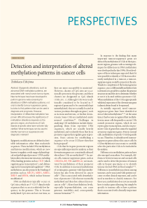 interpretation of altered methylation patterns in 