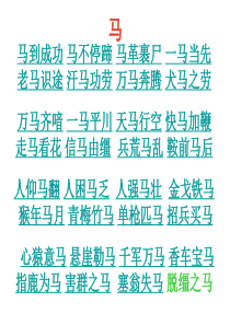 描写小动物的PPT课件