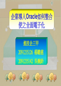 企业导入Oracle如何整合使之全面电子化