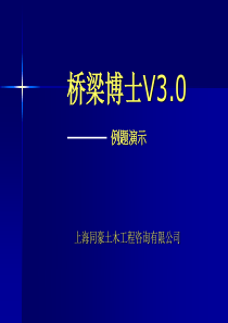 桥梁博士-各种桥梁结构模型-例题