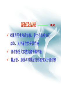 泌尿系结核与感染