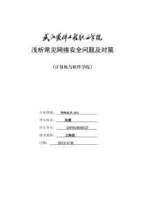 浅析常见网络安全问题及对策