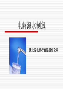 电解海水制氯