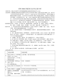 质粒DNA的提取及定性定量分析