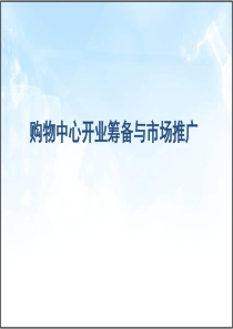 购物中心开业筹备与营销推广