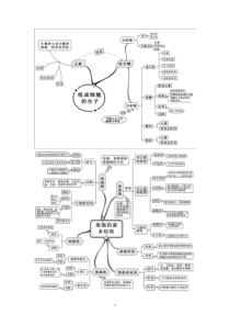 高中生物知识网络思维导图