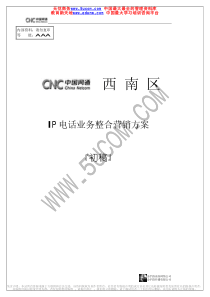 中国网通IP电话业务整合营销方案