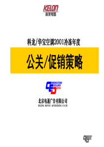 zi某集团公关促销方案