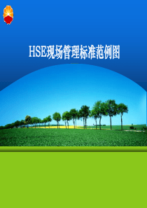 HSE现场管理标准范例图