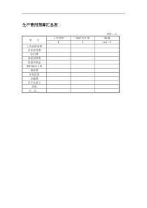 生产费用预算汇总表