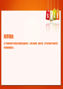 保利置业房地产促销专题研究