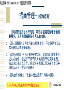 华润促销与调研资料（PPT32页）