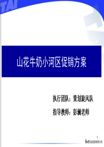 山花促销推广方案