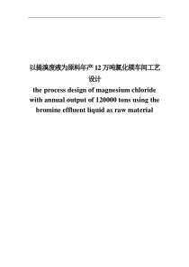 以提溴废液为原料年产12万吨氯化镁车间工艺设计1