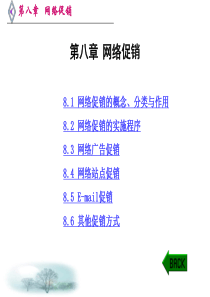 网络促销--网络促销的实施程序（PPT 87页）