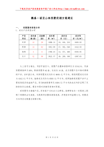 长沙鹏基诺亚山林别墅促销方案建议案