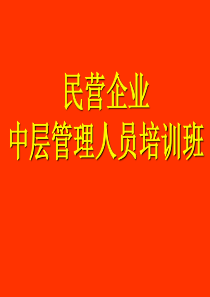 卓越的生产现场管理与改善(s)