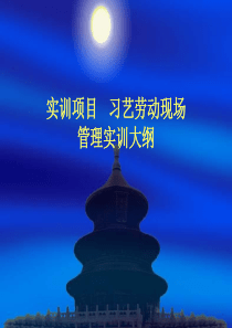 实训项目习艺劳动现场管理实训大纲-PowerPoint