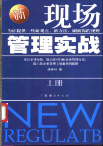 新现场管理实战（上册）--361页潘林岭