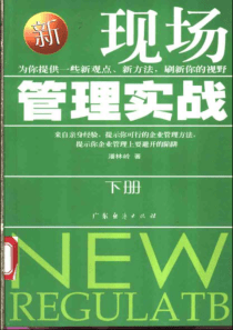 新现场管理实战（下册）--379页潘林岭