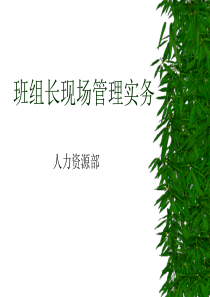 班组长现场管理实务