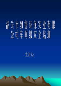 车间级安全培训课件