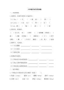 六年级字词专项训练