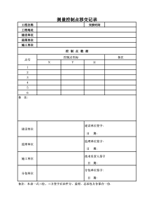 坐标高程移交记录格式表