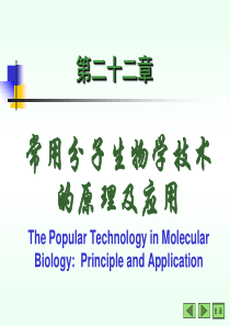 分子生物学常用技术