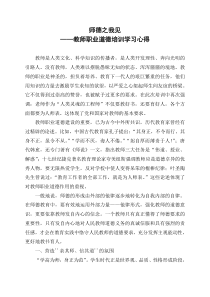 师德之我见——教师职业道德培训学习心得