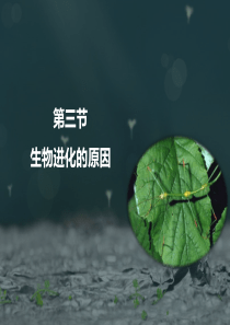 《生物进化的原因》课件