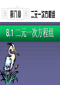 第八章二元一次方程组课件8.1二元一次方程组