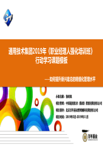 精细化管理小组行动学习课题计划模板1-PPT课件