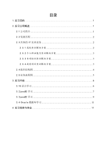 在东软睿道培训的实习报告